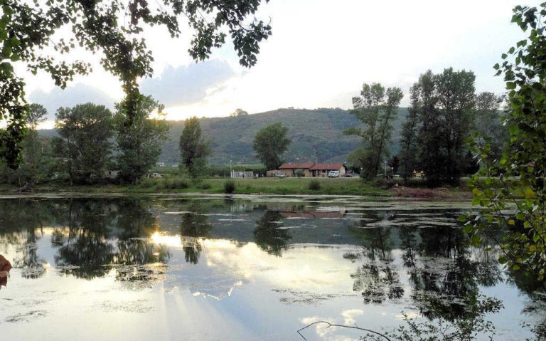 The pond at Andance campsite