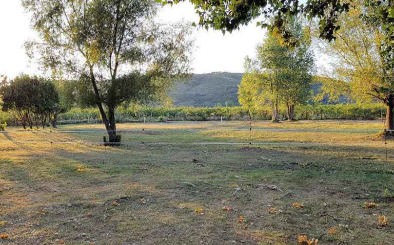 Location d'emplacements camping cariste en Ardèche Verte